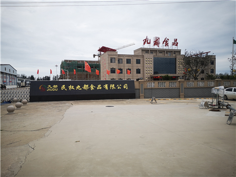 原版正版资料大全